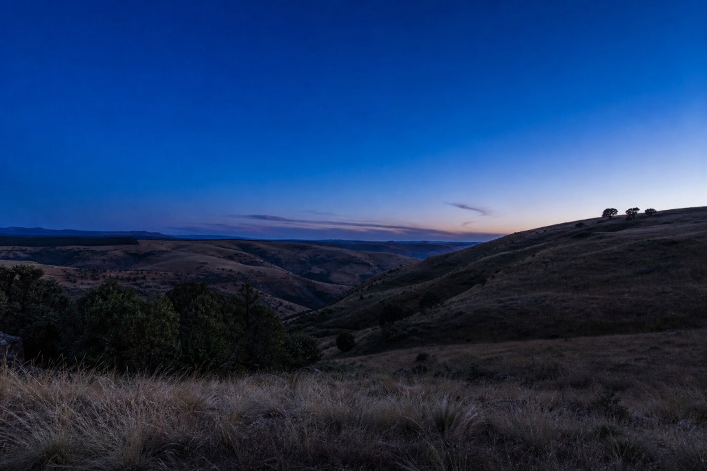 Rolling hills at blue hour