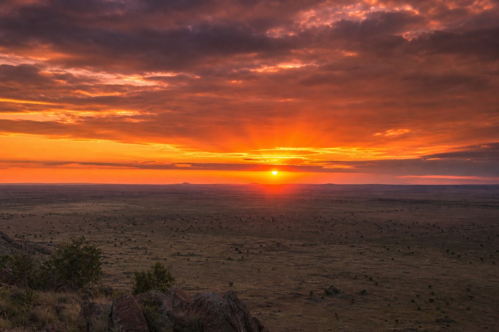 Sunset over the savanna